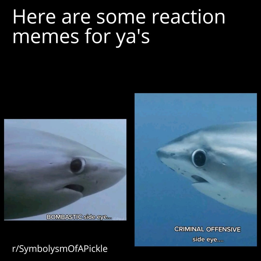 16950 34