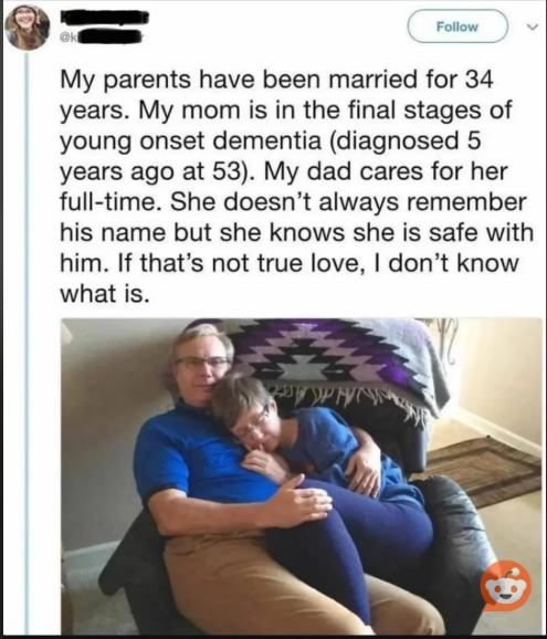 17531 1