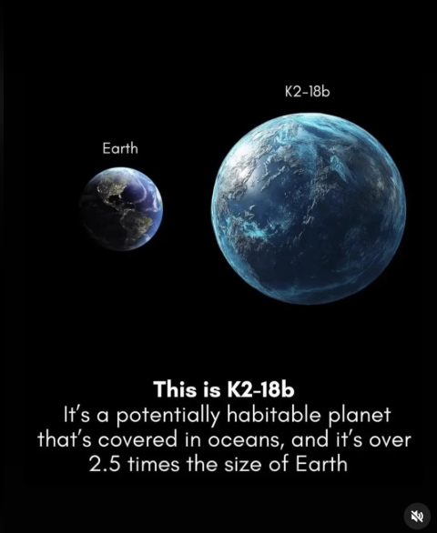17531 2
