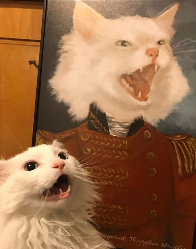18447 11