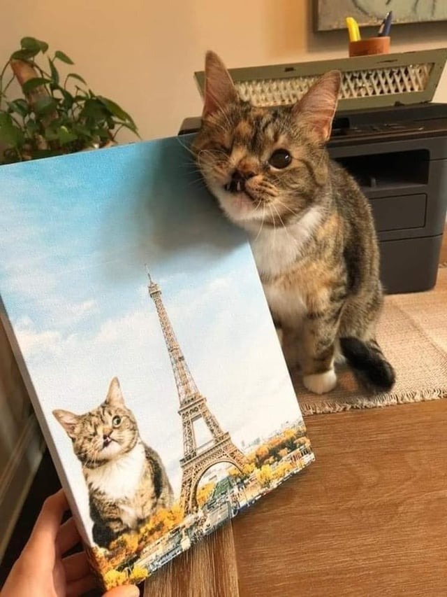 18447 9