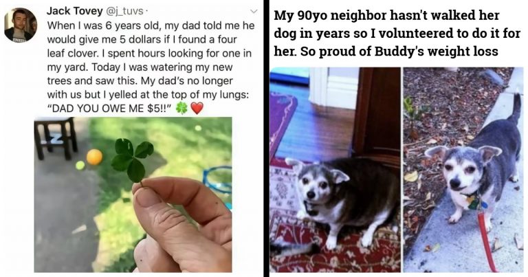 40 Feel-Good Posts That’ll Make You Believe In People Again (Even Just A Little)
