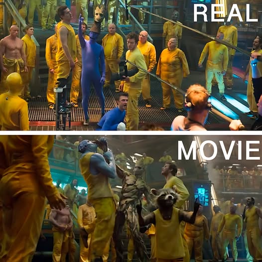 20490 36 1