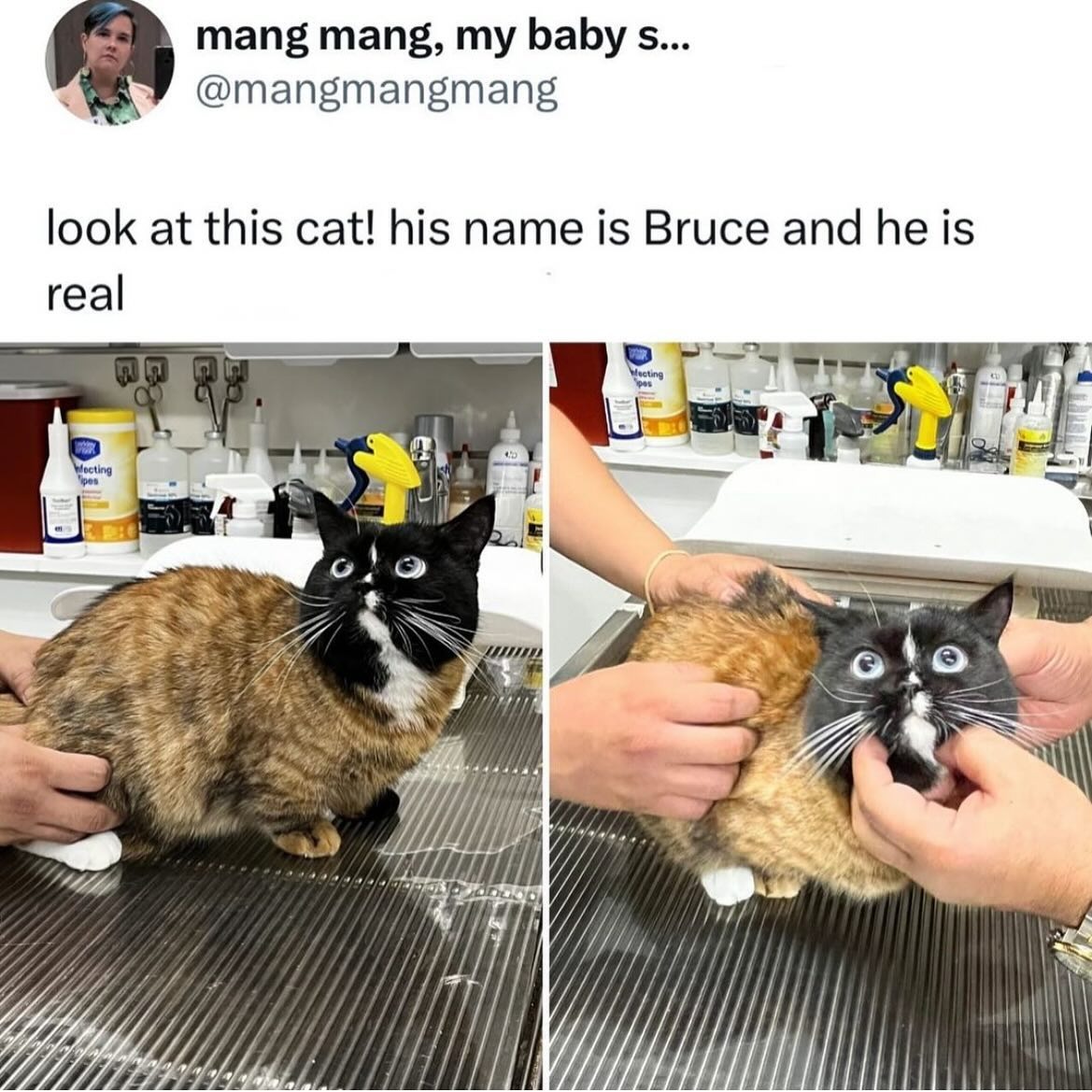 21075 15