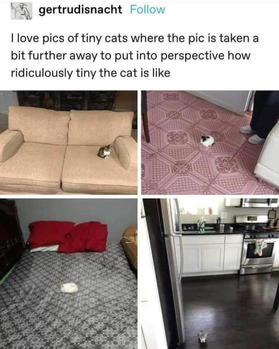 21075 26