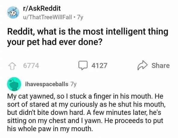 21075 36