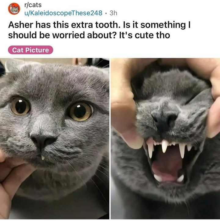 21075 6