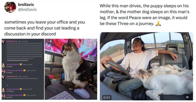40 Wholesome Posts That’ll Make You Smile Before Your Coffee Does
