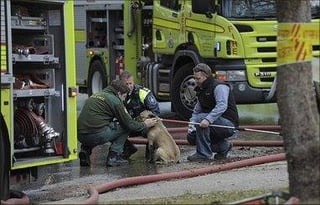 21391 25