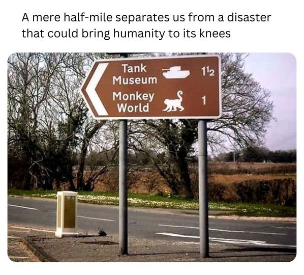 451753534 1665204917580965 835477297061814940 n