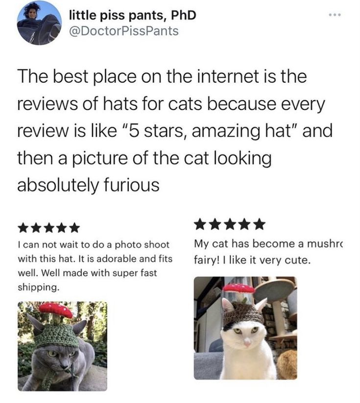 a2c080c6112e900ced1b518ffdebf01d