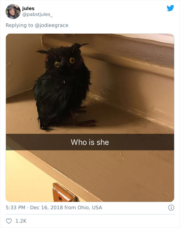 weirdest thing boyfriend bathroom toilet twitter 606b13ed50011 700