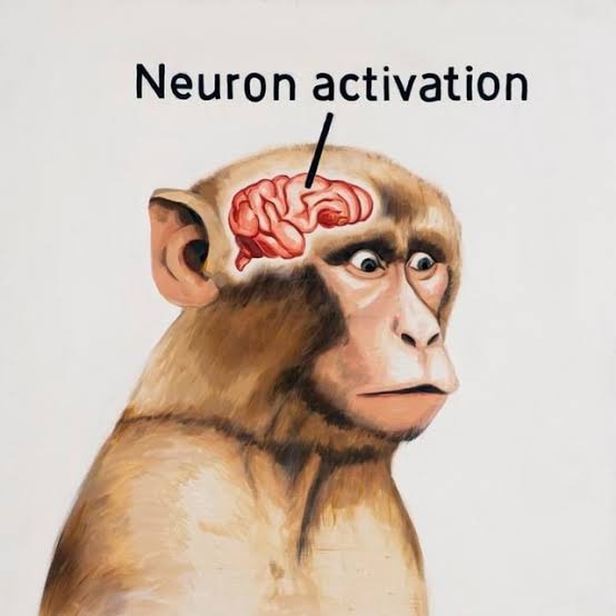 Neuron Activation Meme