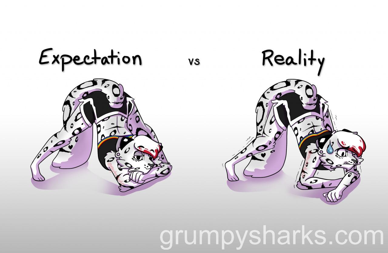1631168005.maybefurr expectation 1