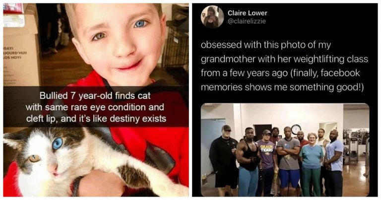 40 Photos That Are So Heartwarming They’ll Instantly Make You Smile