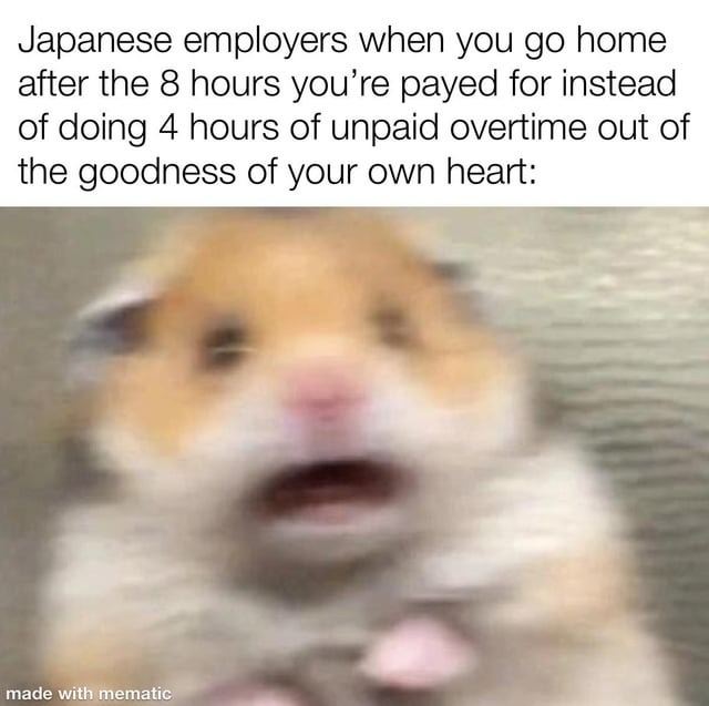 21767 18