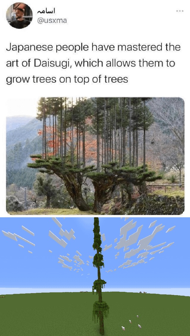 21767 30