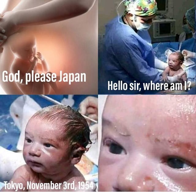 21767 31