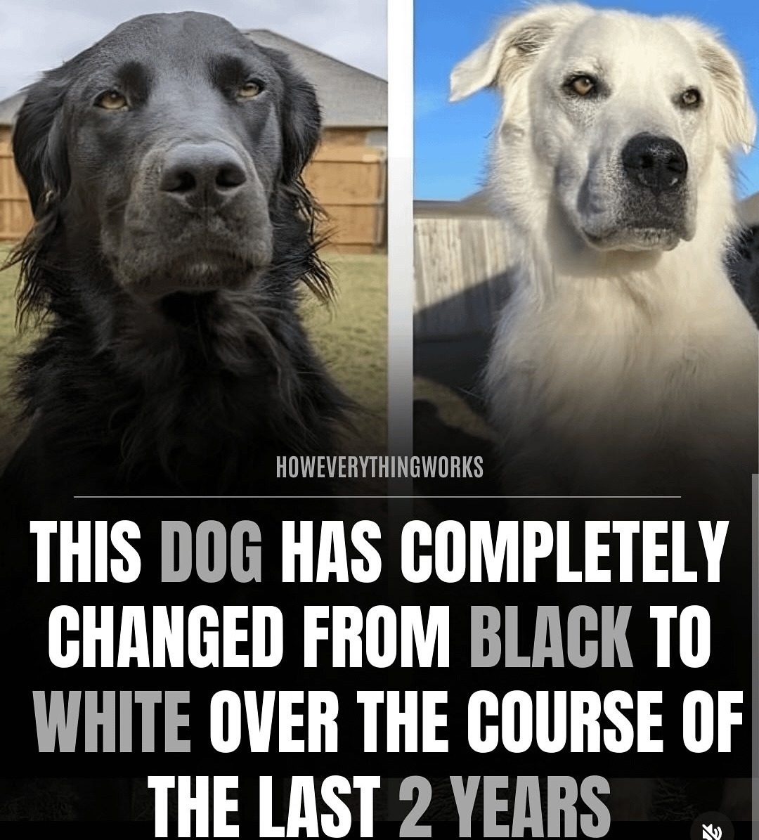 21859 2