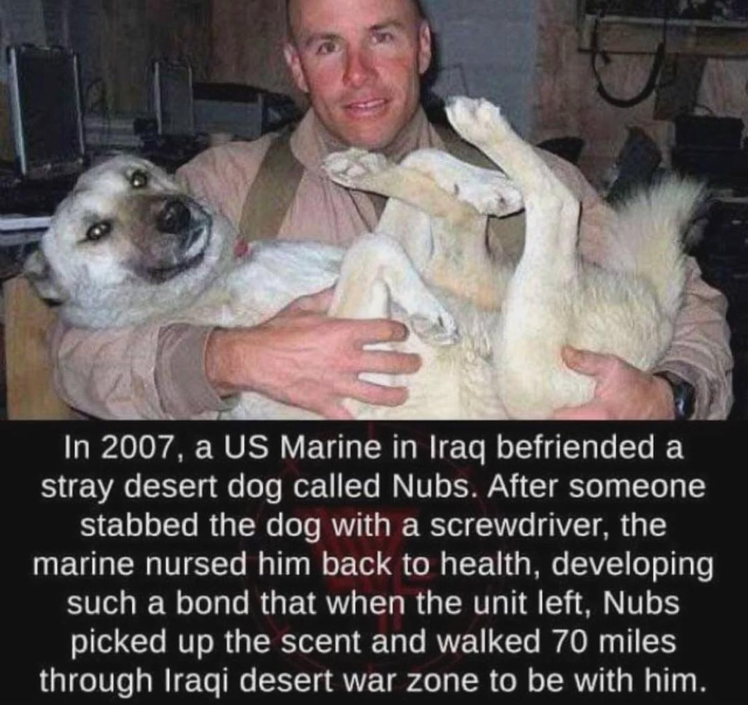 21859 38