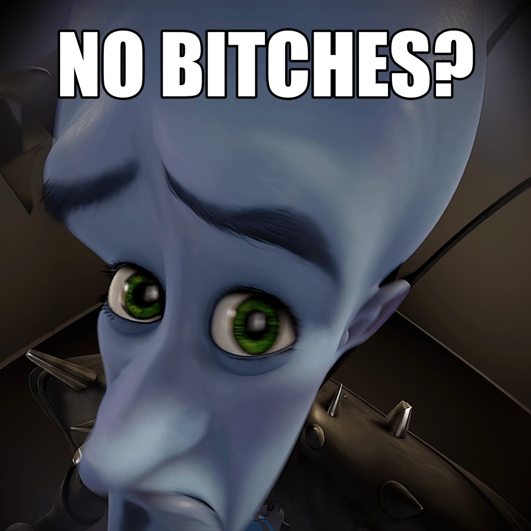 No Bitches meme