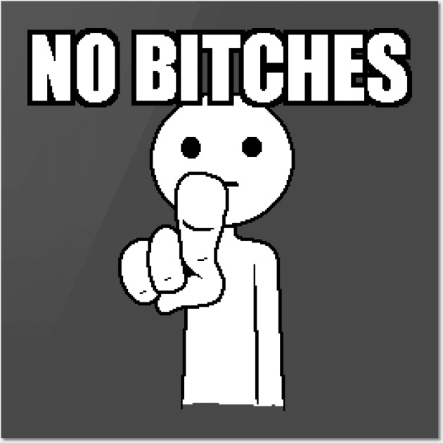 No Bitches meme