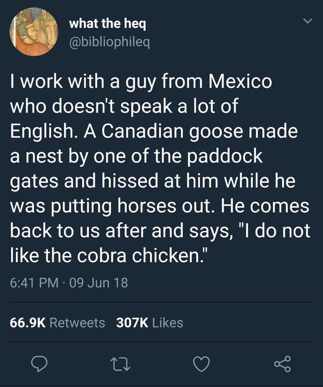 22104 8