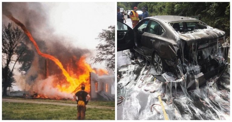 40 Bad Day Photos That’ll Make You Feel Grateful Yours Isn’t Worse