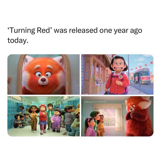 22324 20