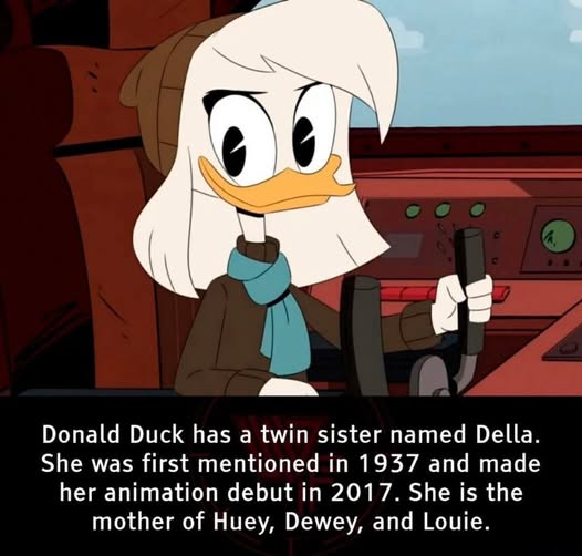 22464 14