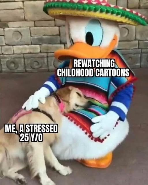22464 25