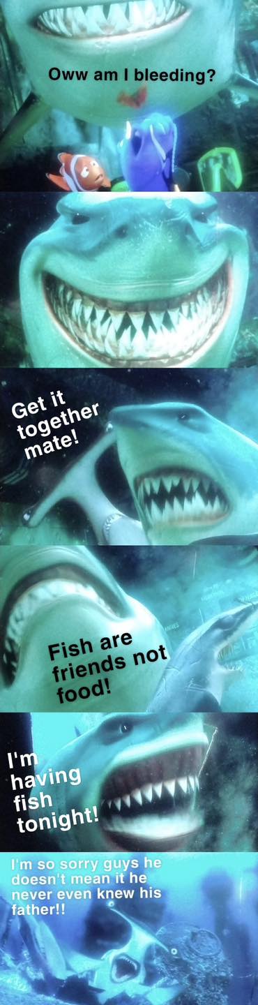 22464 29