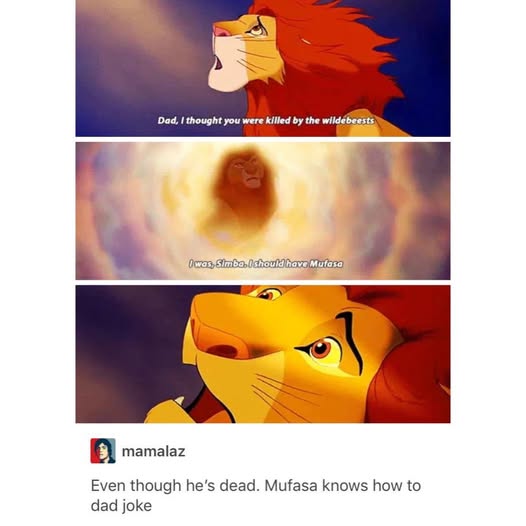 22464 36
