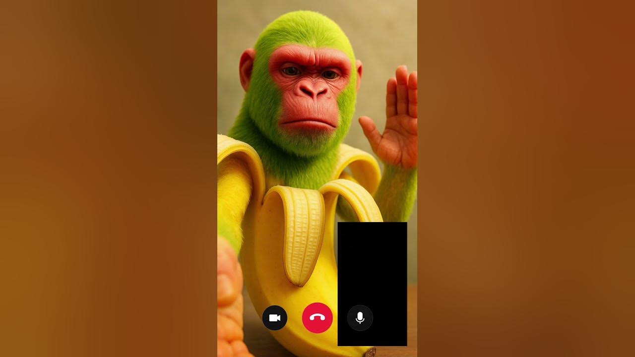 Chimpanzini Bananini Meme