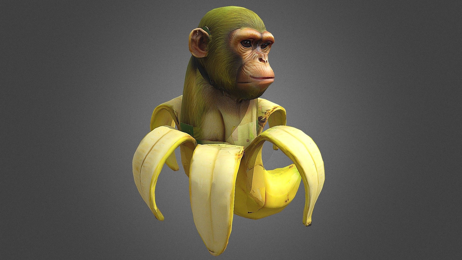 Chimpanzini Bananini