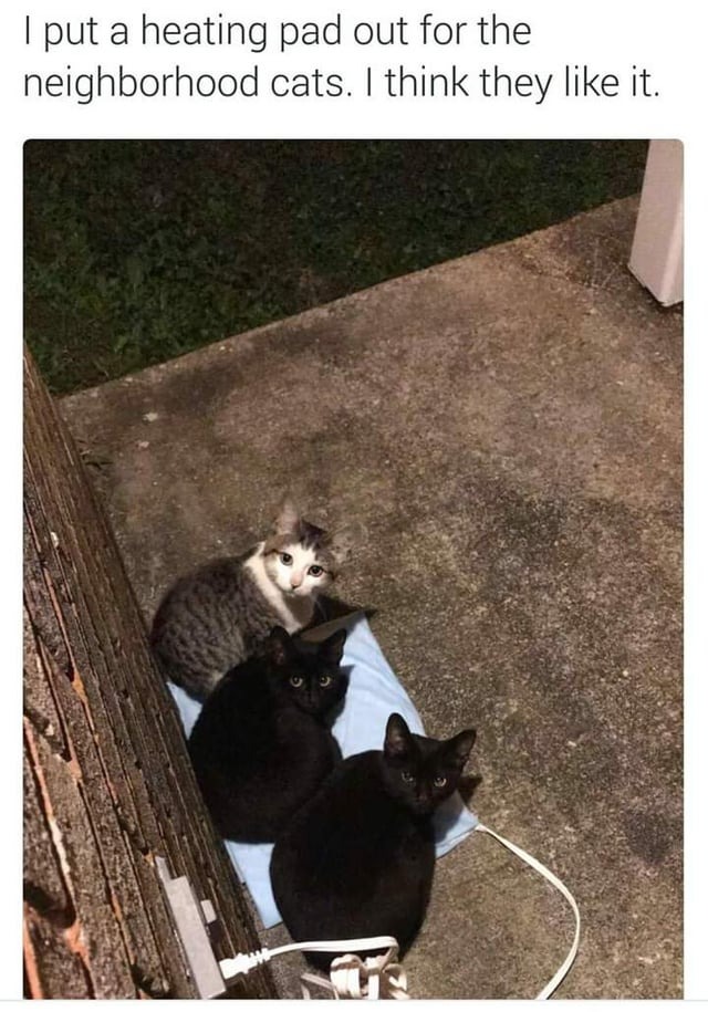 22774 17