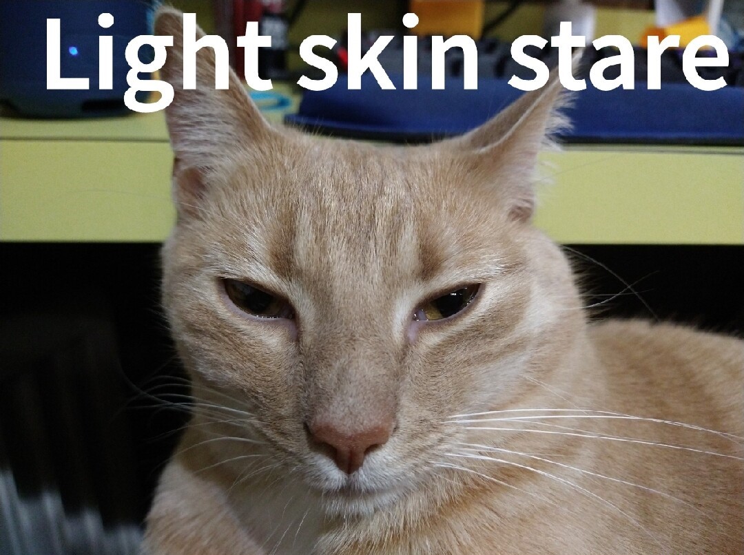 Light Skin Stare Meme