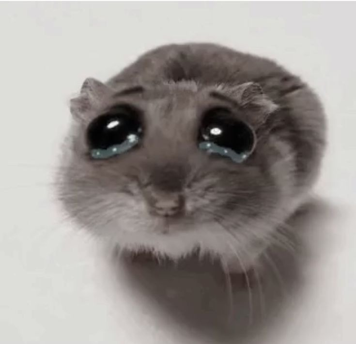 23184 1
