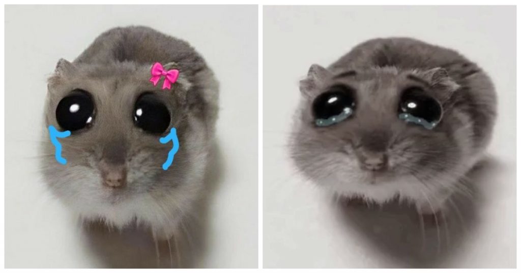 23184