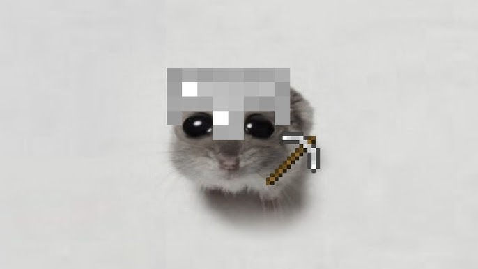 23184 5