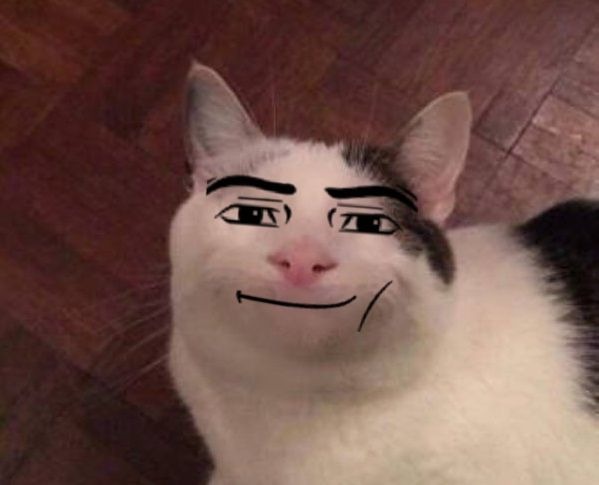 Roblox Man Face Meme