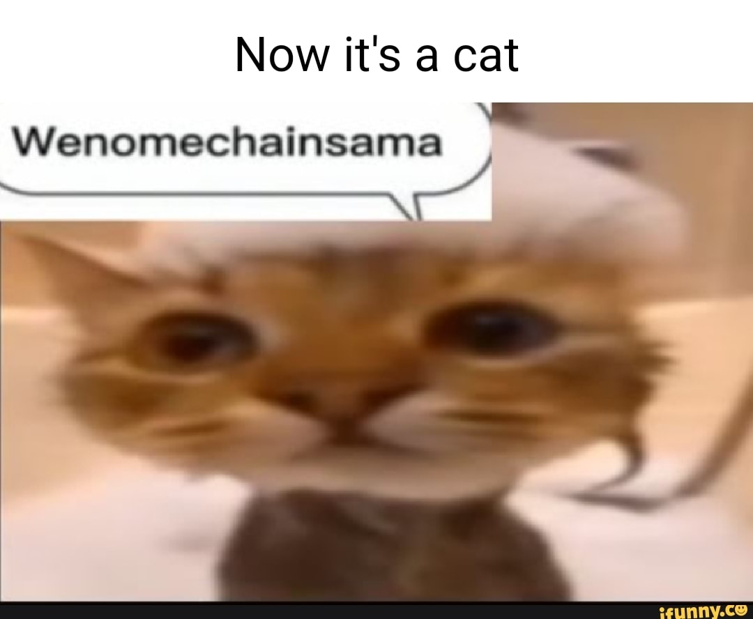Wenomechainsama Meme