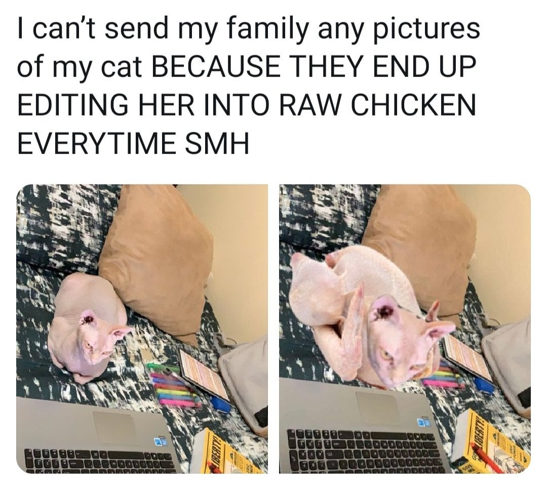 23259 28