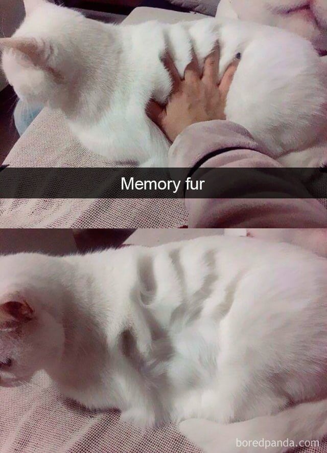 23259 7