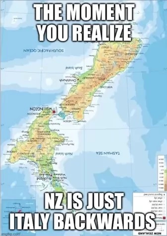 23317 12