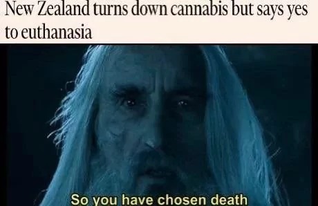 23317 13