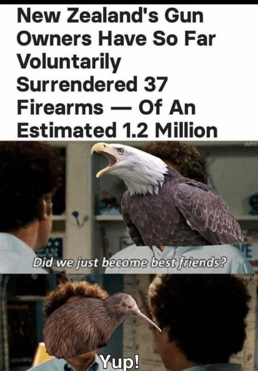 23317 15