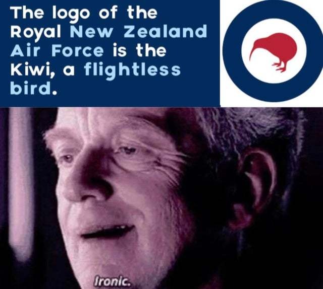 23317 22
