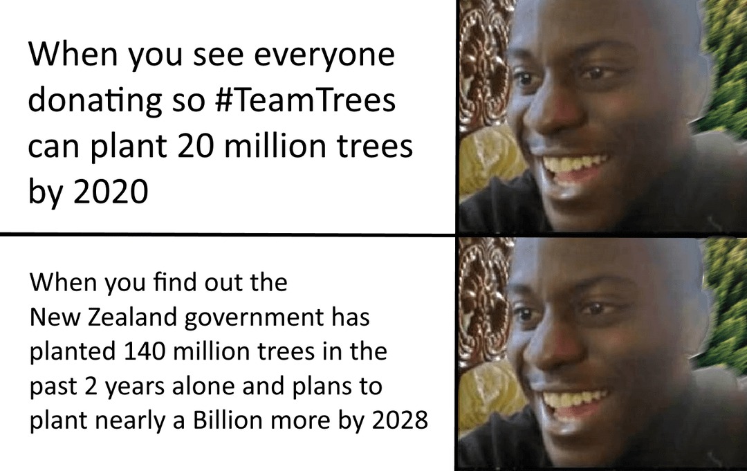 23317 37