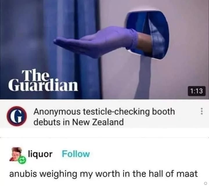 23317 6